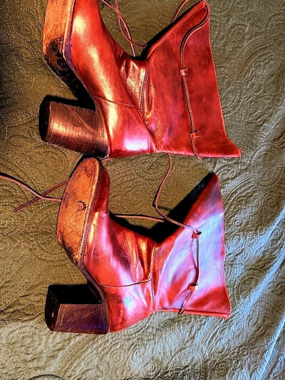 Freebird by Steven Women's Heeled Boots in Brown & Red